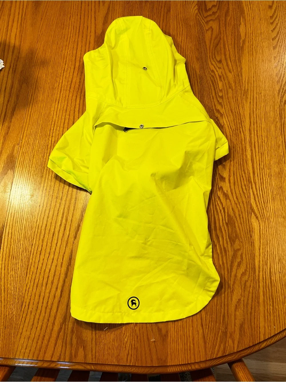 Backcountry waterproof yellow